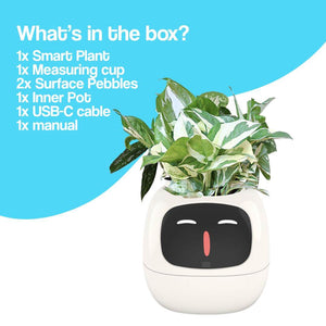 AI GrowBuddy Smart Plant Care System Ivy with expressive face and sensors for interactive plant care and STEM learning