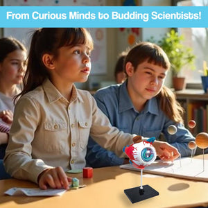 Little Anatomist 4D Build & Learn Science Kits with 32-piece detailed anatomy models for hands-on STEM learning aged 8+
