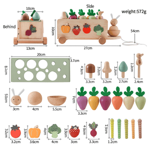 Colorful wooden educational farm toy for toddlers with shape matching and pull-along features