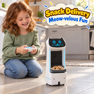 SnackBot the Delivery Robo-Kitty