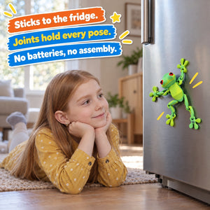 Poseable Magnetic Frog – educational toy
