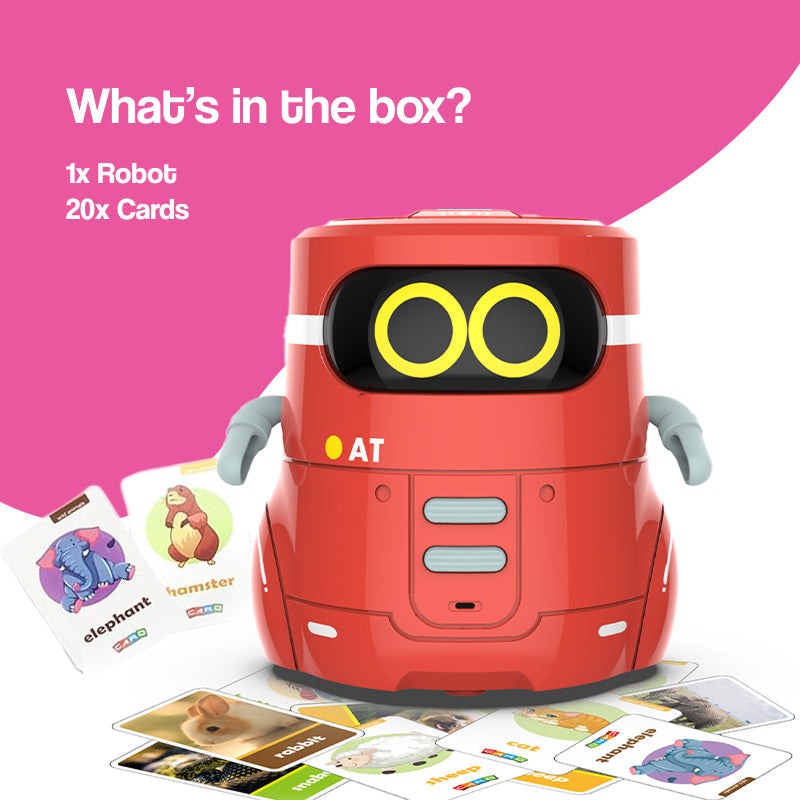 i-Learn & Play Interactive Robot