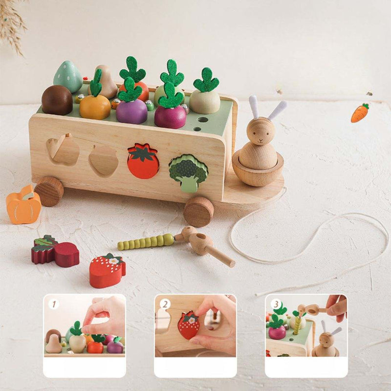 Educational Wooden Farm Toy for Toddlers
