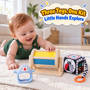 Multi-Sensory Developmental Toys Kit