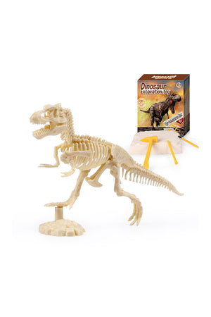 Educational Dinosaur Excavation Toy