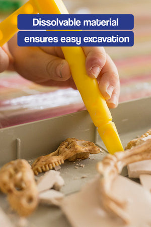 Educational Dinosaur Excavation Toy